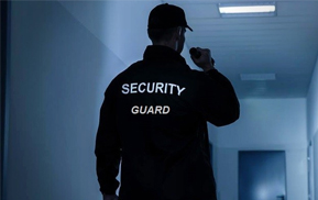 Physical Security Guard